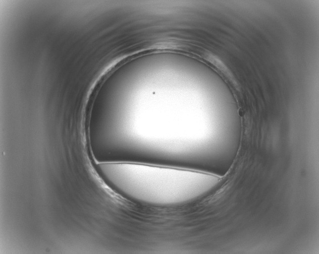 X0000066080939200603101136