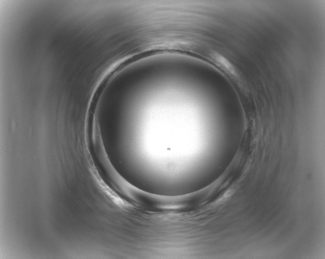 X0000066080940200603101136