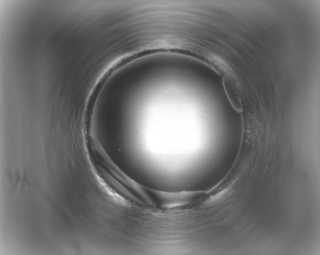 X0000066080942200603101136