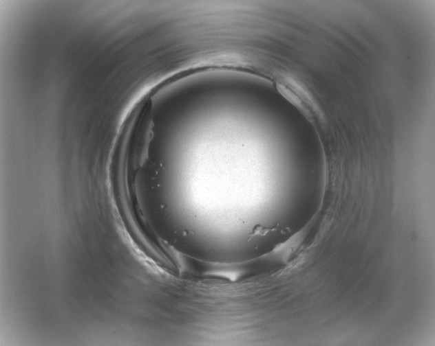 X0000066080944200603101136