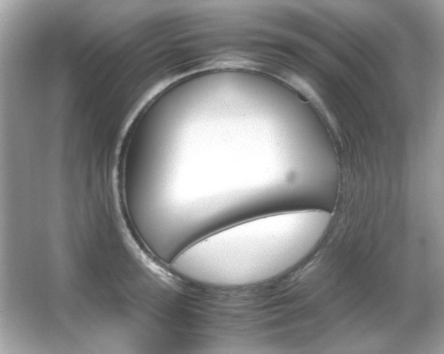 X0000066080947200603101136