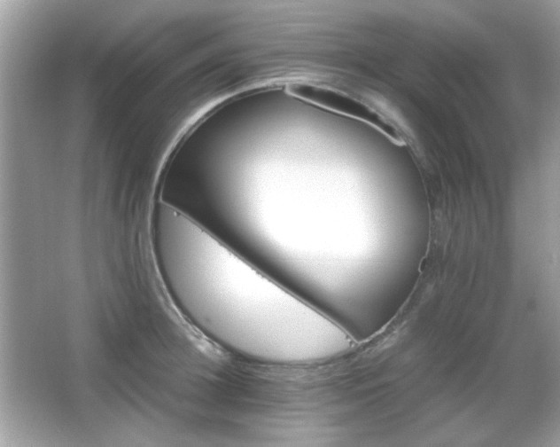 X0000066080948200603101137
