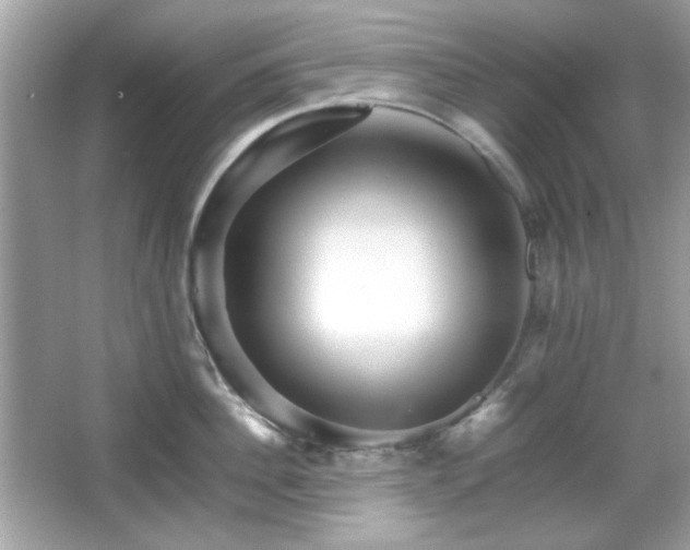 X0000066080956200603101137