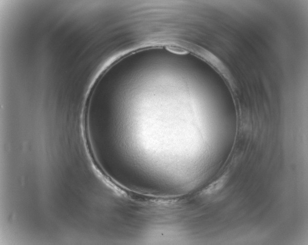X0000066080958200603101137