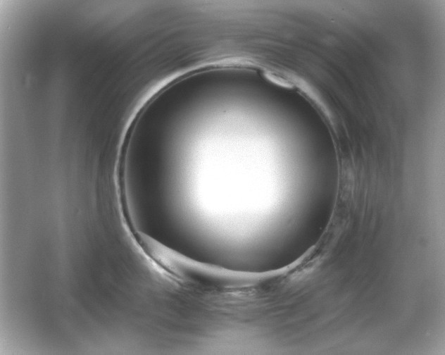 X0000066080959200603101137