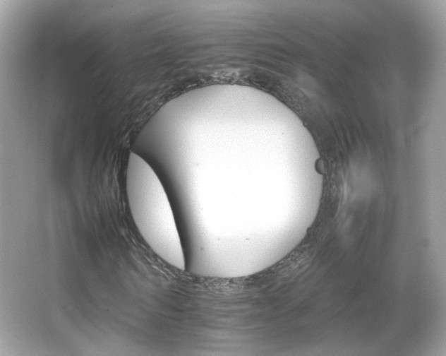 X0000066080962200603101136