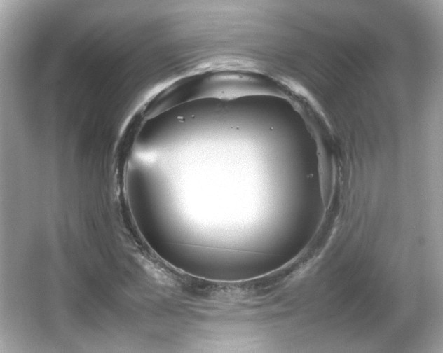 X0000066080973200603101136
