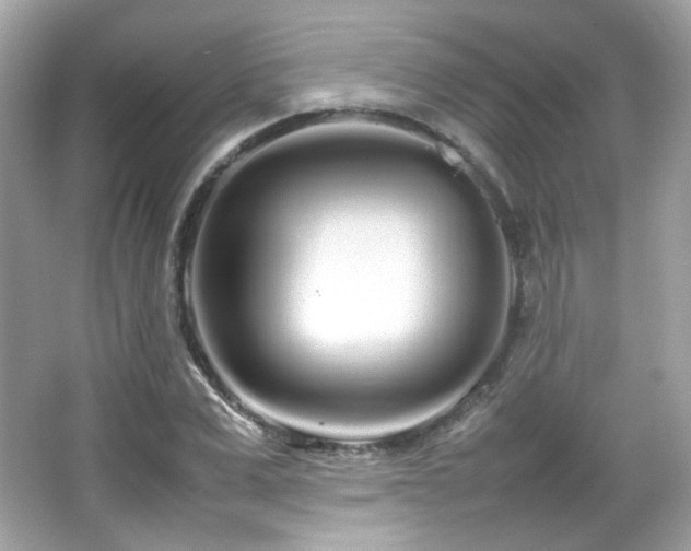X0000066080975200603101136