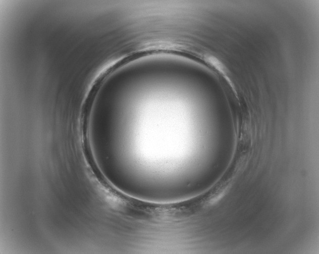 X0000066080987200603101135