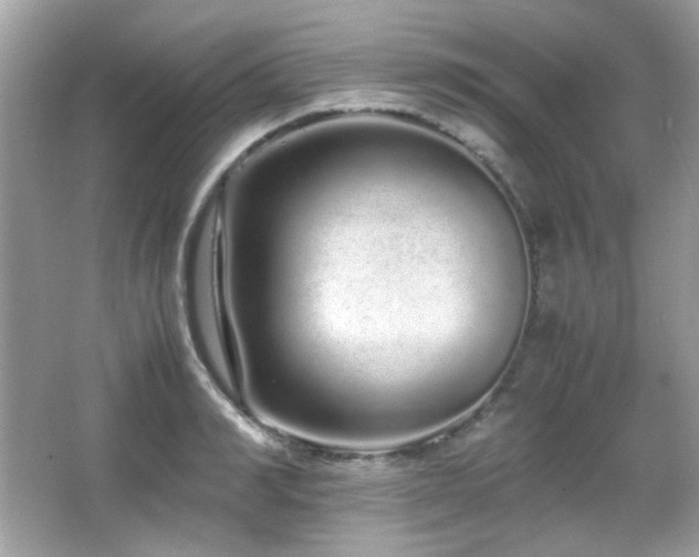 X0000066080990200603101135