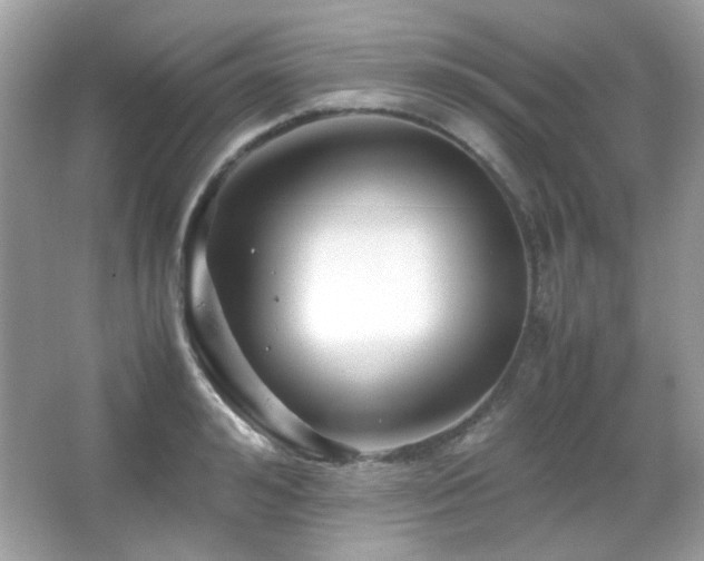 X0000066080992200603101135