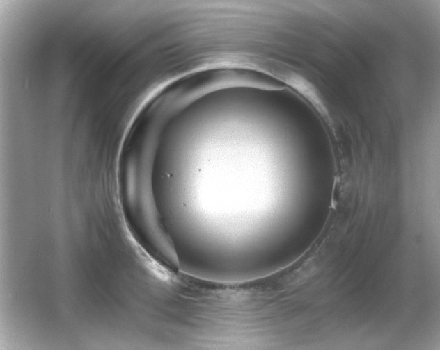 X0000066080996200603101135