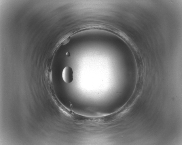 X0000066081001200603101135