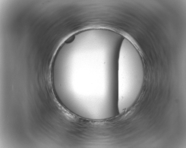 X0000066081004200603101135