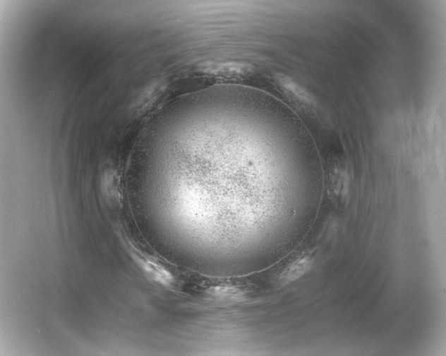 X0000066081010200603101134