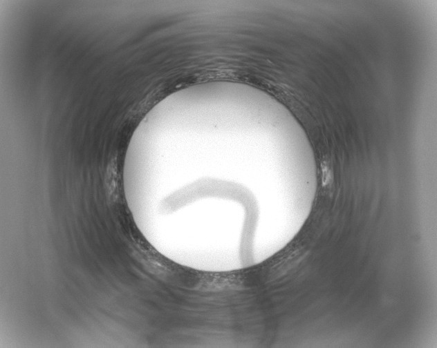 X0000066081011200603101134
