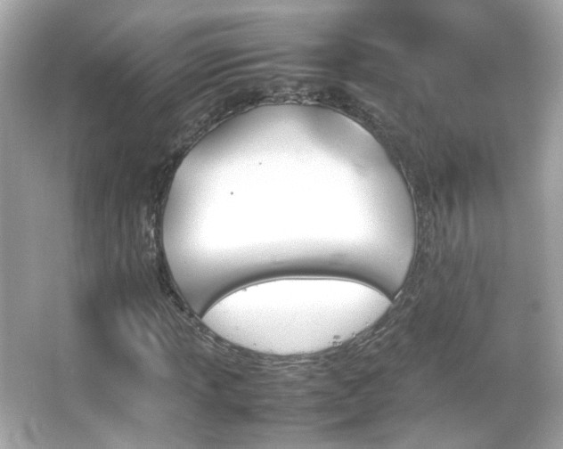 X0000066081013200603101134