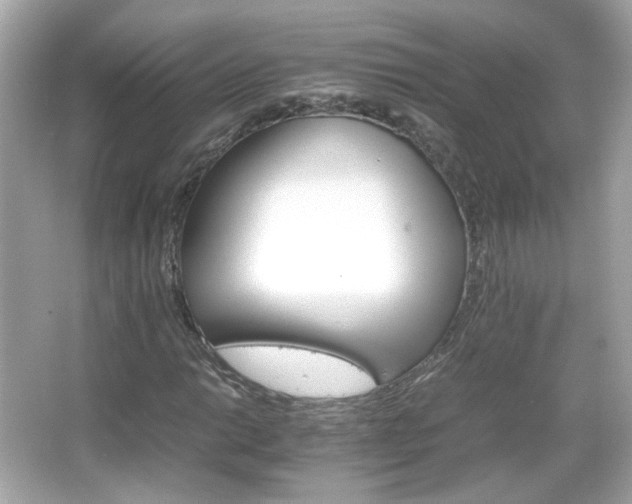 X0000066081014200603101134