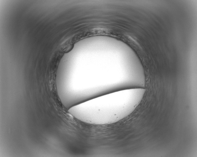 X0000066081015200603101134