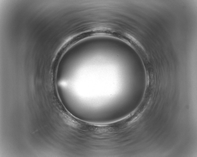 X0000066081021200603101135