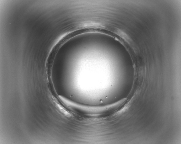 X0000066081022200603101135