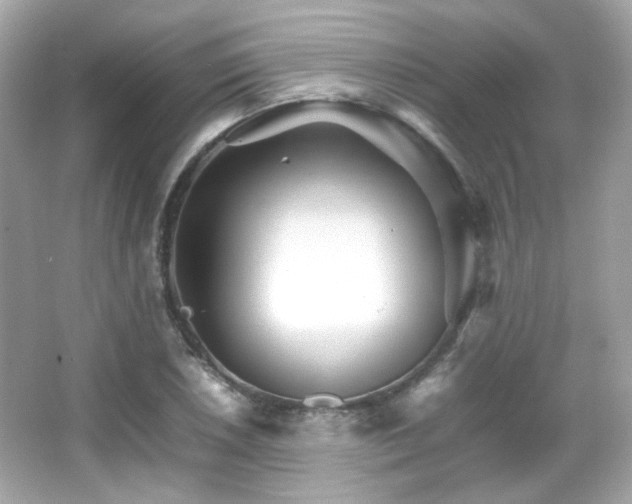 X0000066081026200603101135