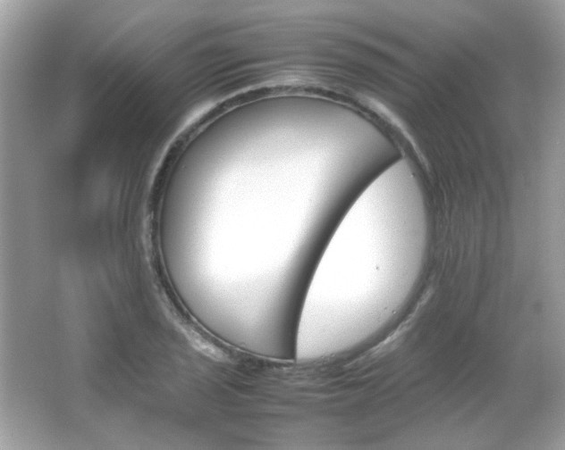 X0000066081029200603101135