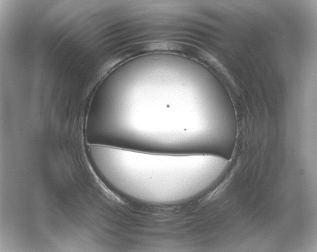 X0000066081033200603101135
