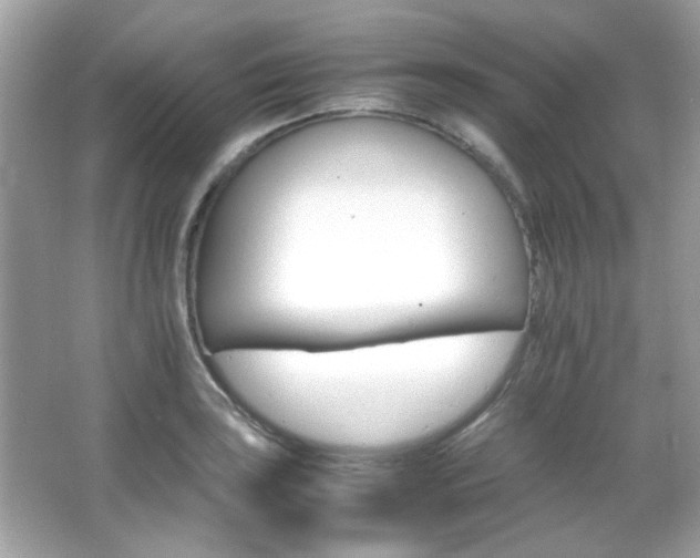 X0000066081035200603101135
