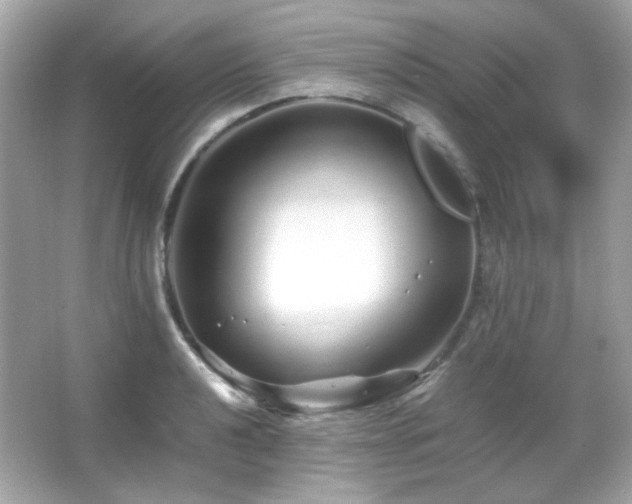 X0000066081040200603101135