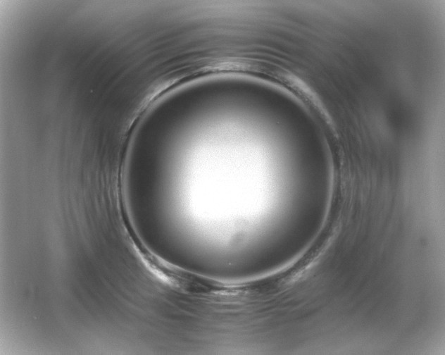 X0000066081041200603101135