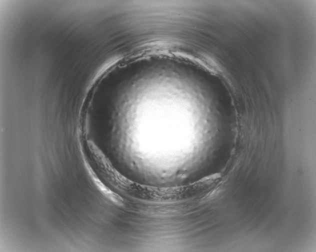 X0000066081042200603101135