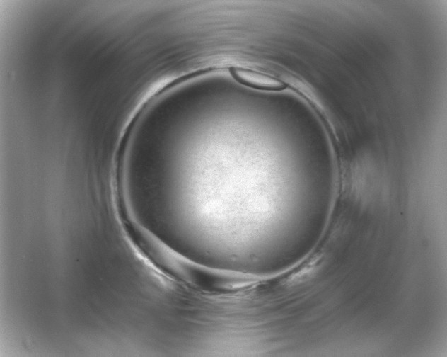 X0000066081048200603101135