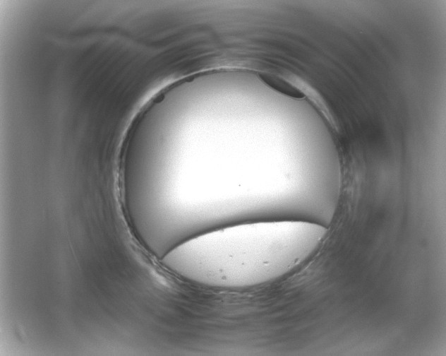 X0000066081051200603101135