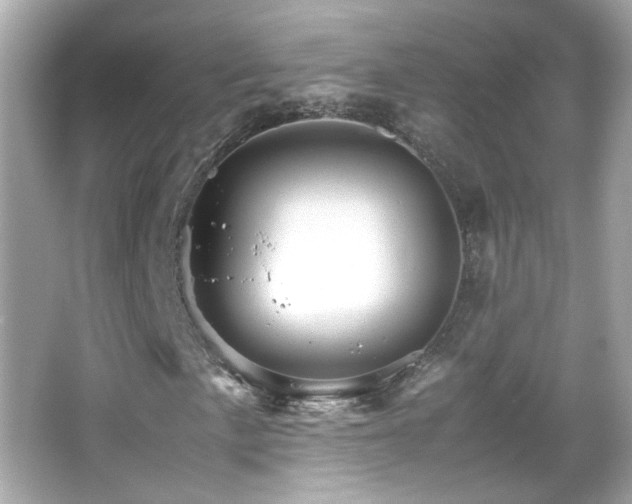 X0000066081057200603101134