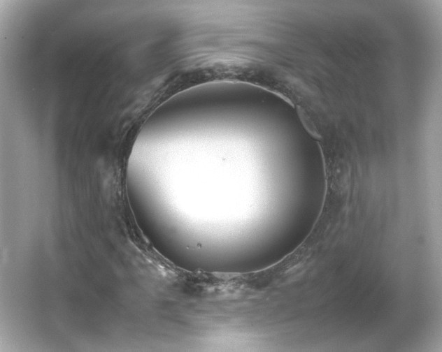 X0000066081061200603101134