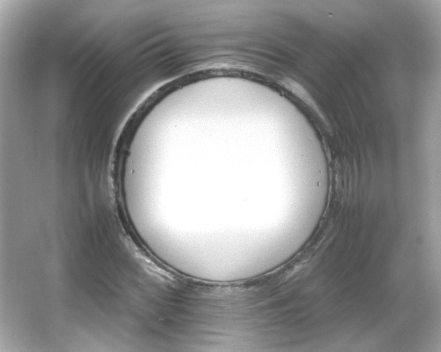 X0000066081068200603101134