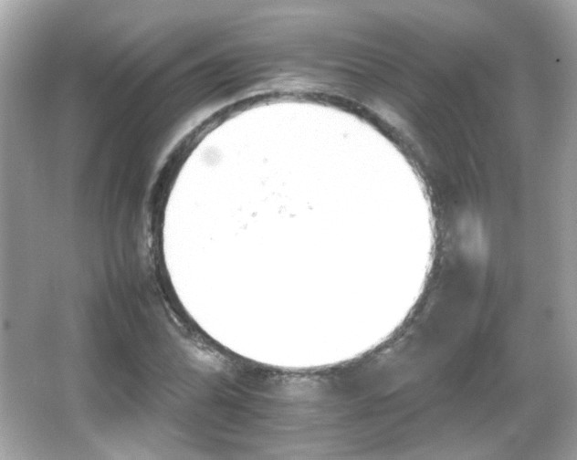 X0000066081070200603101134