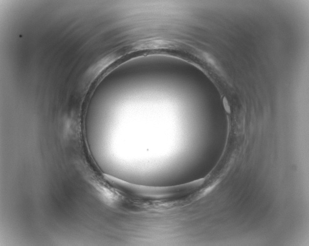 X0000066081073200603101134