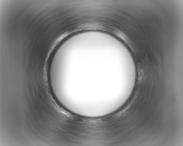 X0000066081074200603101134