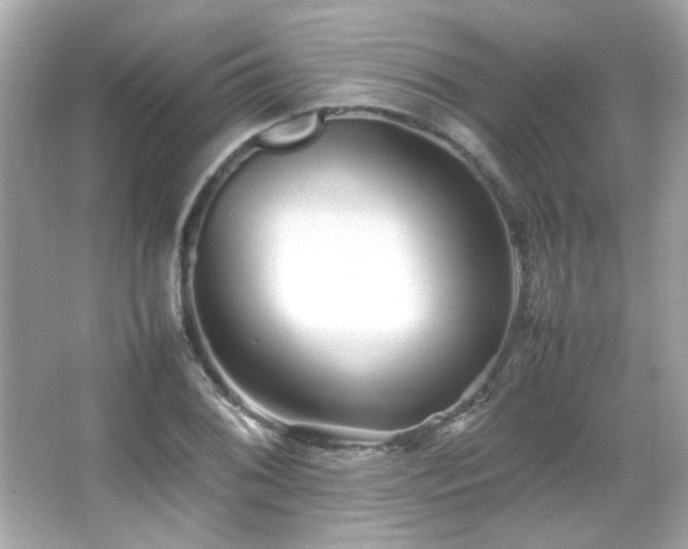 X0000066081076200603101134