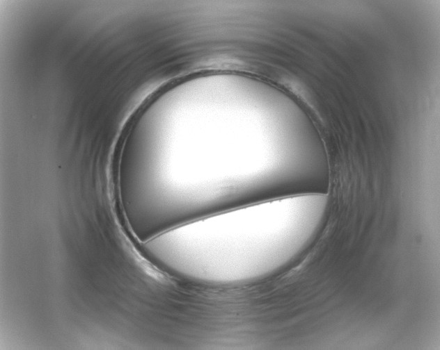 X0000066081082200603101134