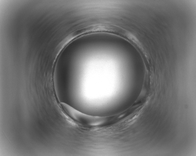 X0000066081089200603101134