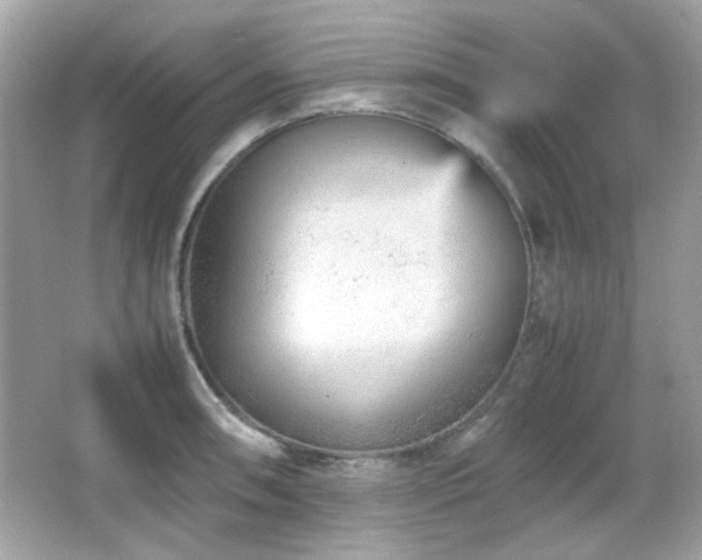 X0000066081090200603101134