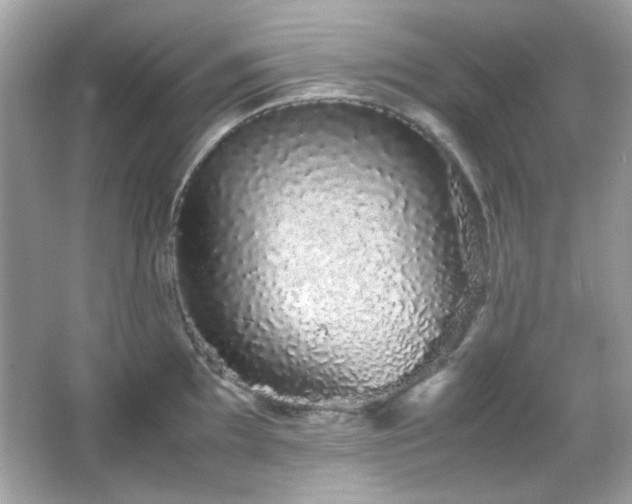 X0000066081097200603101134