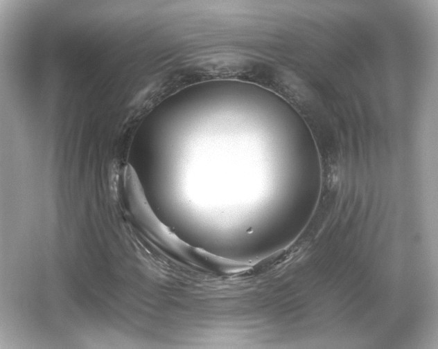 X0000066081108200603101133