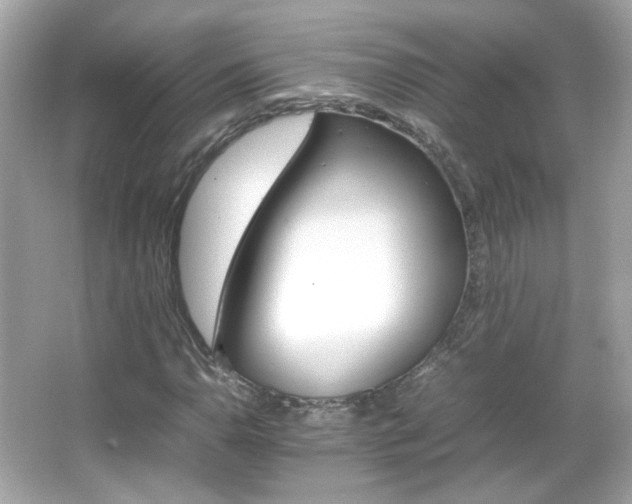 X0000066081110200603101133