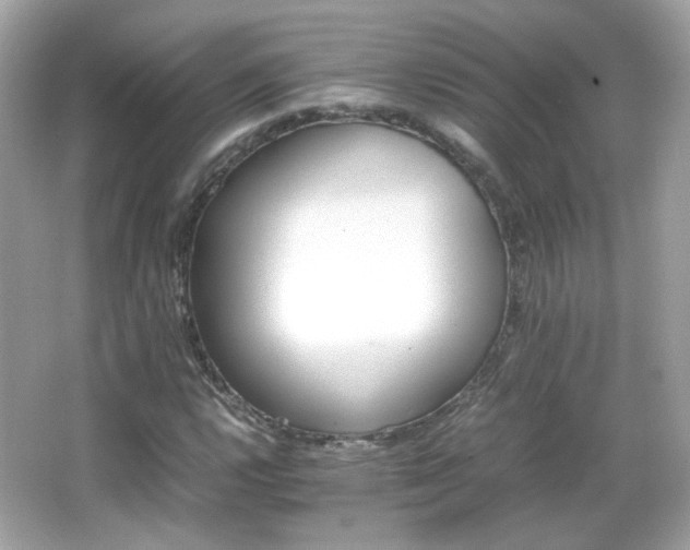 X0000066081112200603101133