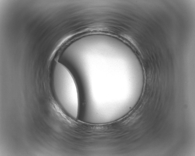 X0000066081115200603101133