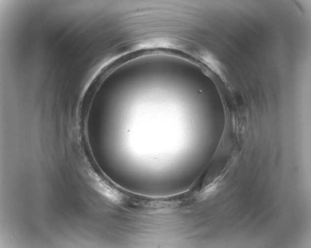 X0000066081116200603101133